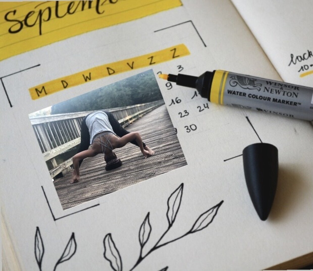 © Unsplash/Estée Janssens/Liveology Yoga Magazine