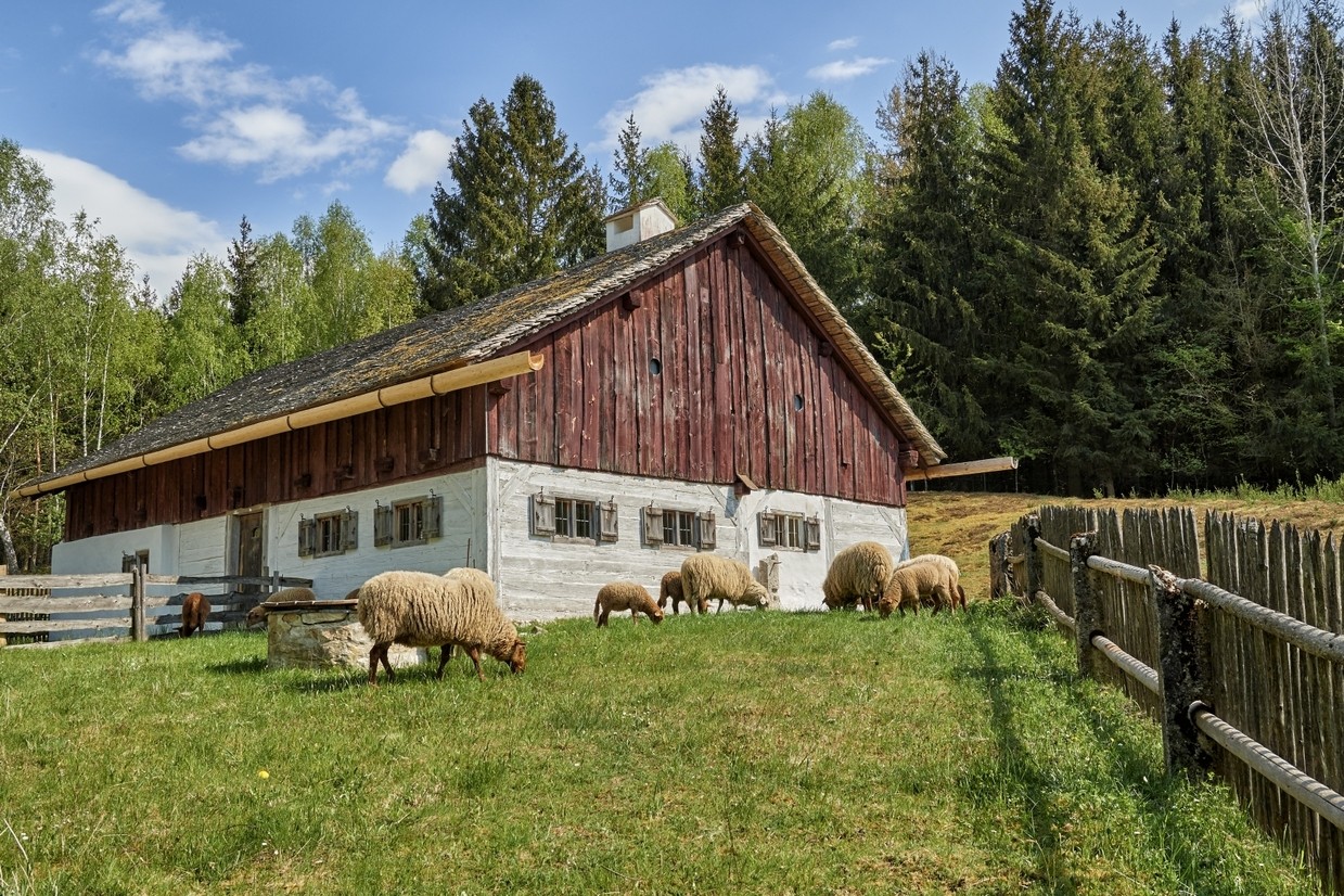 © Freilandmuseum Oberpfalz
