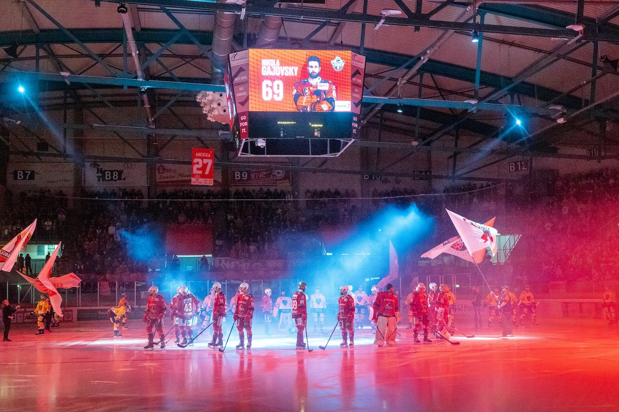 © Eisbären