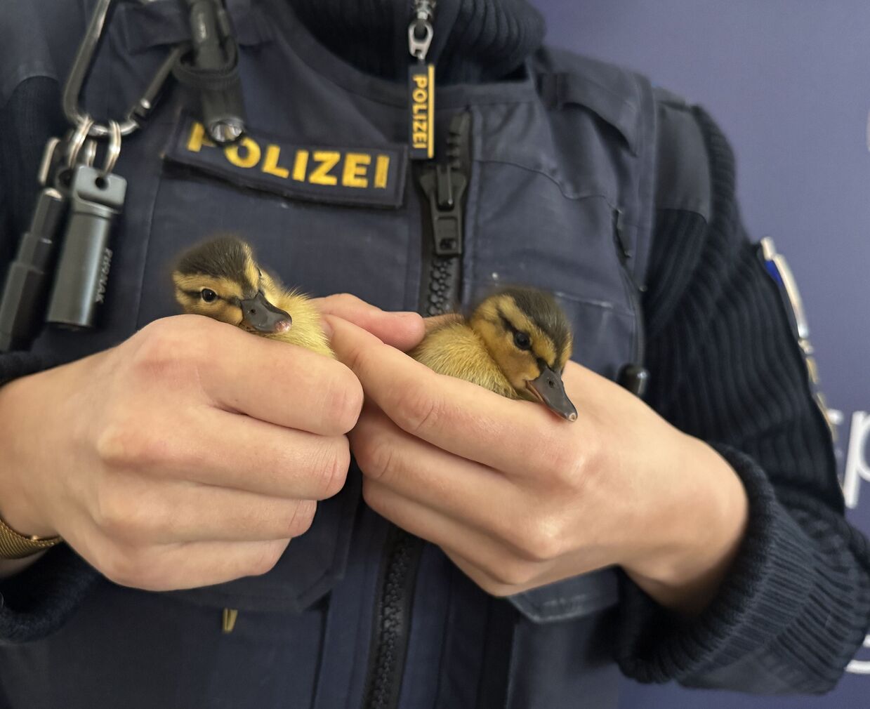 © Verkehrspolizei Regensburg