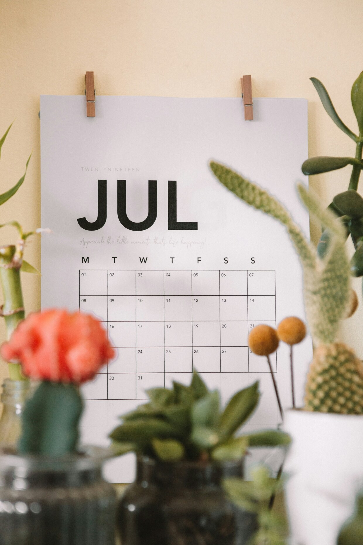 © unsplash/ Maddi Bazzocco