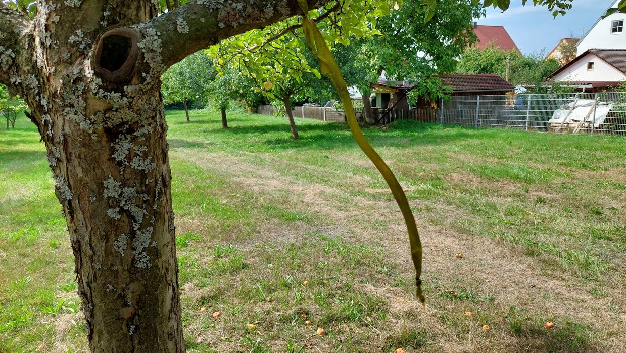 © Bild: Homepage Gemeinde Wackersdorf