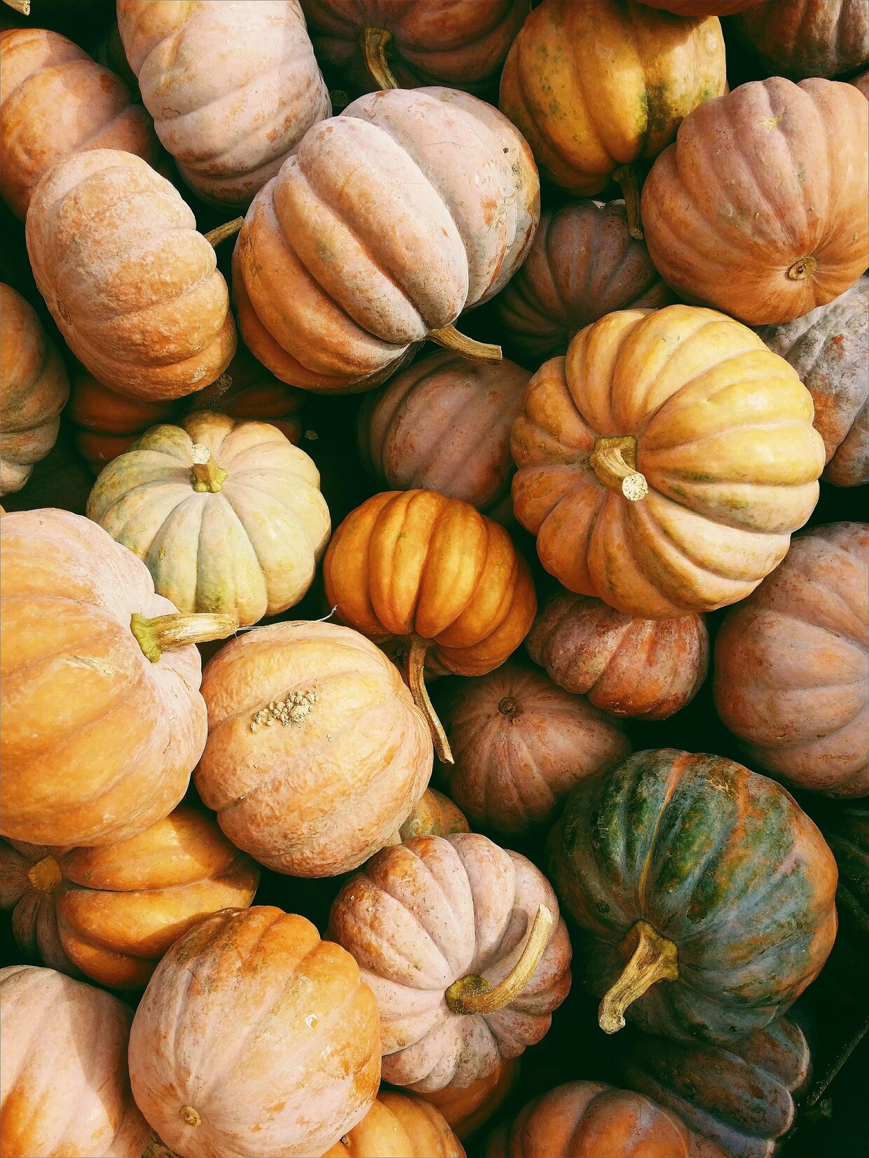© unsplash/Kerstin Wrba