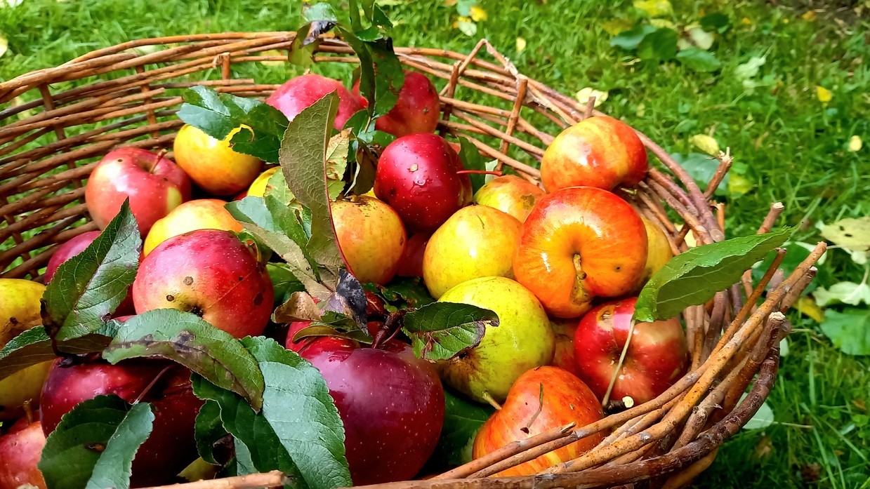 Symbolbild // charivari, © Symbolbild // charivari