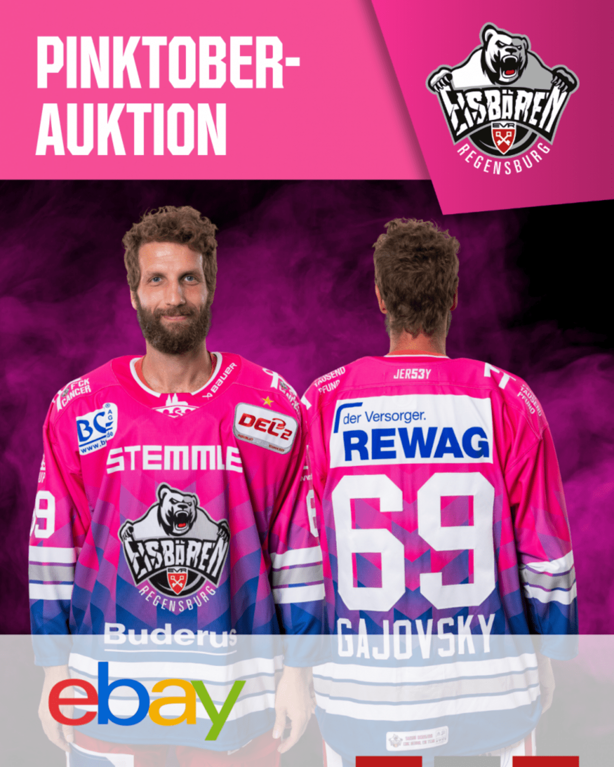 © Bild: Homepage Eisbären Regensburg