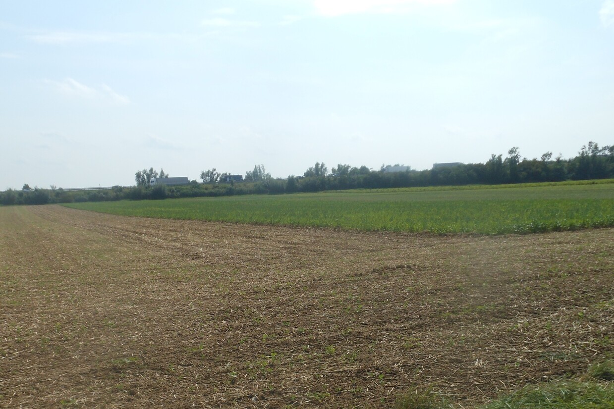 © Armin Hofbauer/AELF Regensburg-Schwandorf