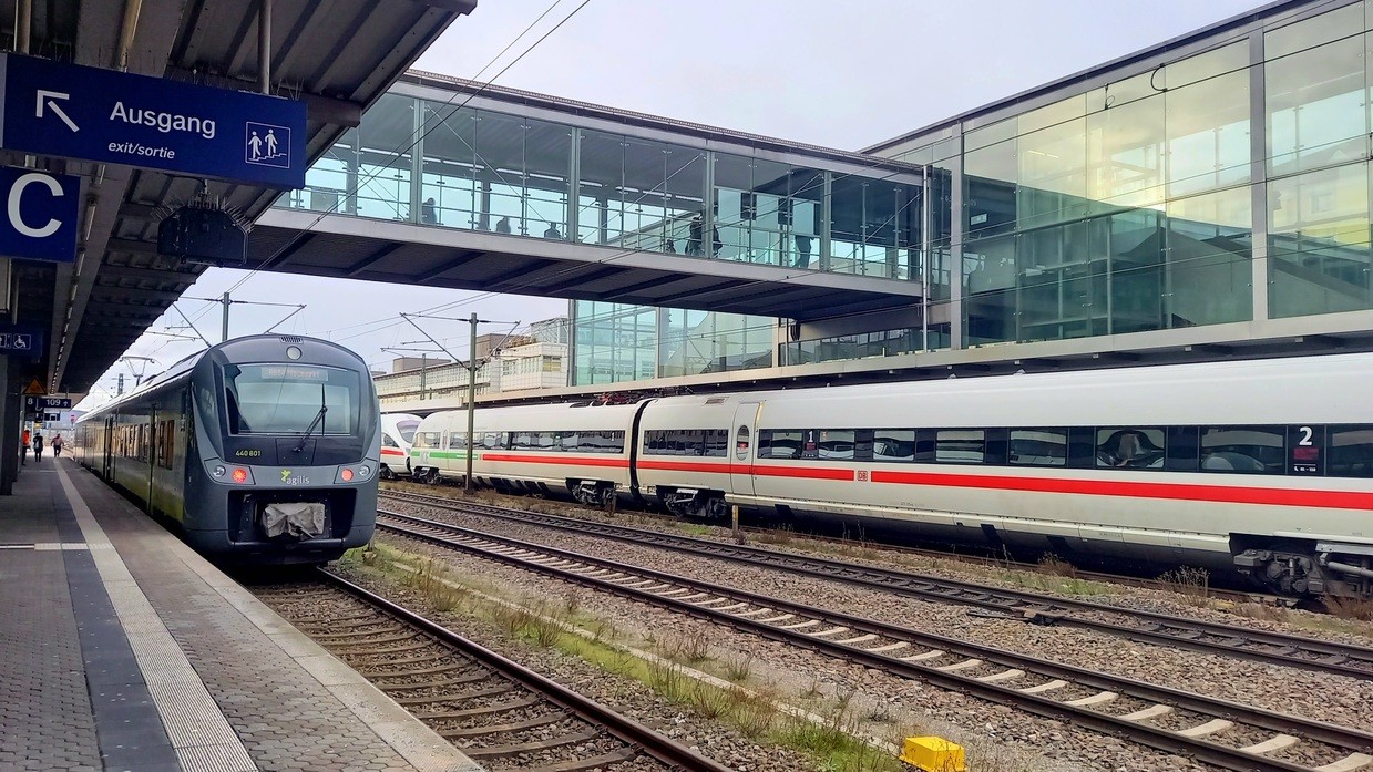 charivari ax, &copy; charivari ax