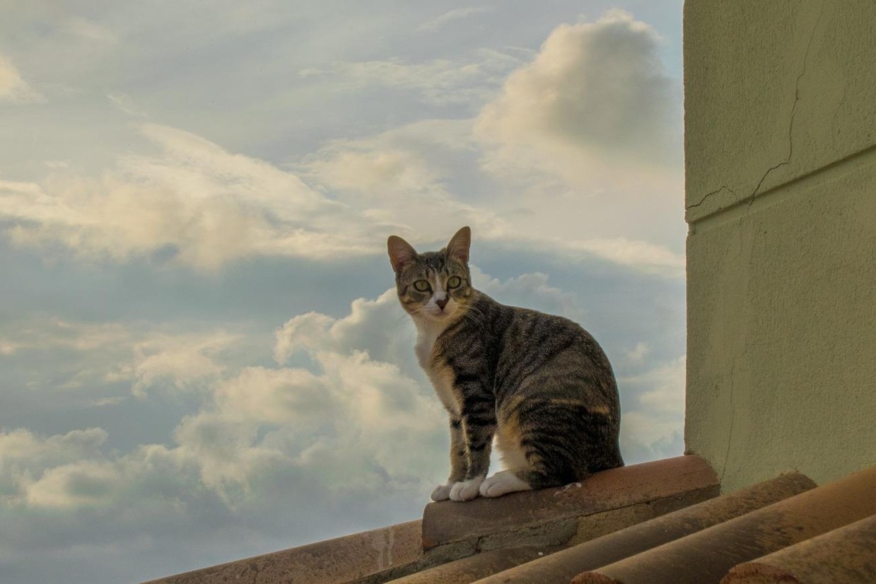 Symbolbild - Javiermirapeidro auf Pixabay, &copy; Symbolbild - Javiermirapeidro auf Pixabay