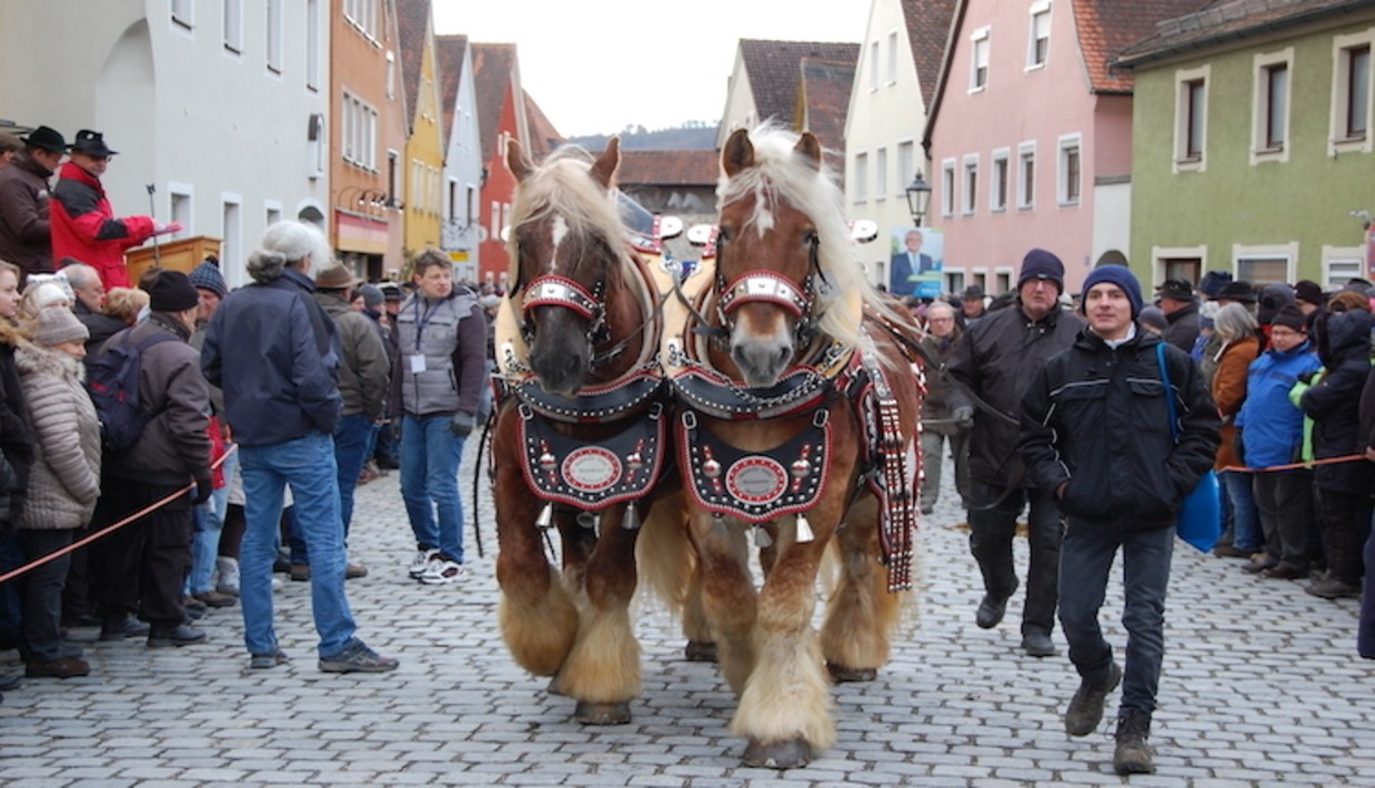 &copy; Anik&oacute; Kerl