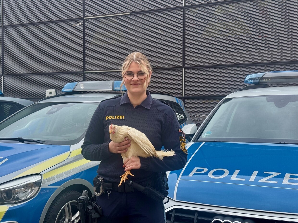 &copy; PI Regensburg