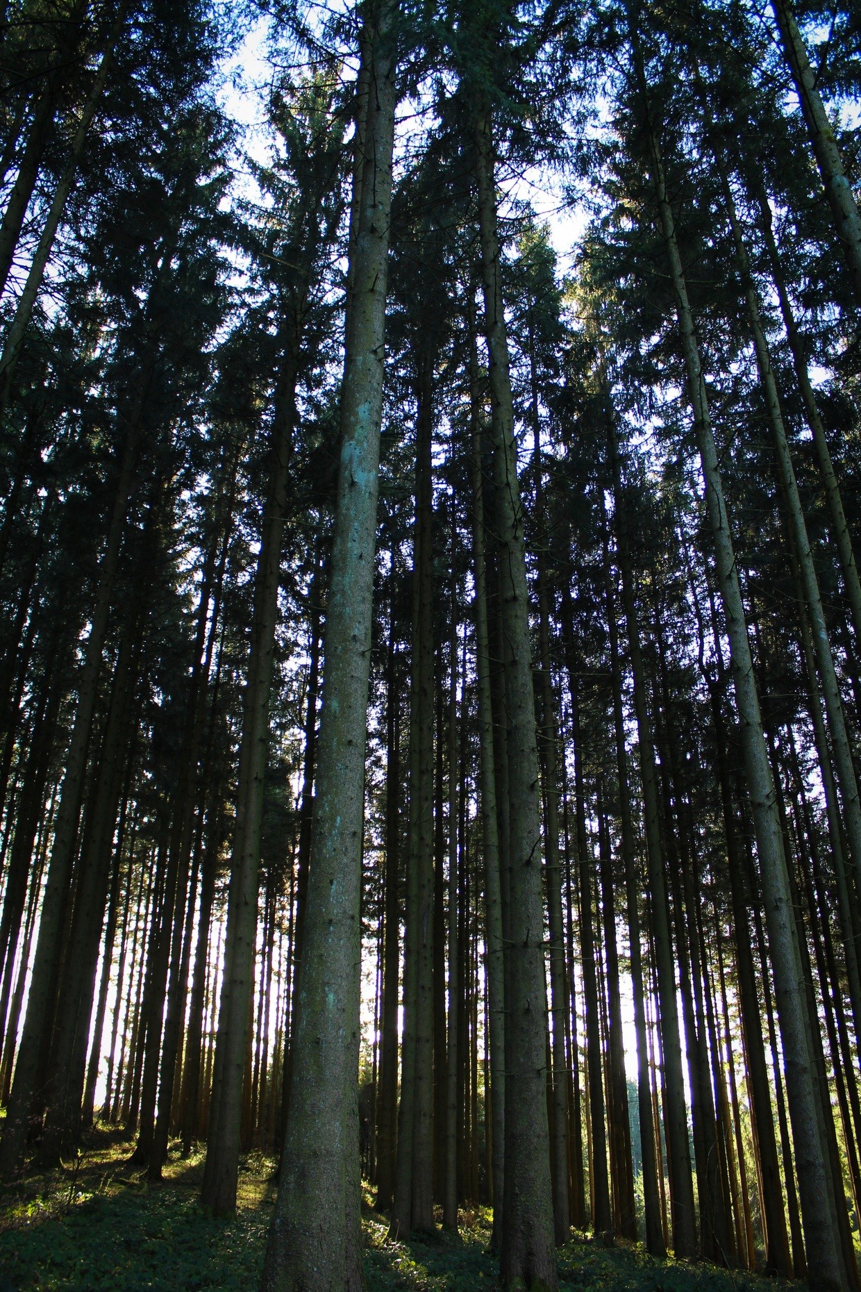 &copy; Symbolbild: pixabay