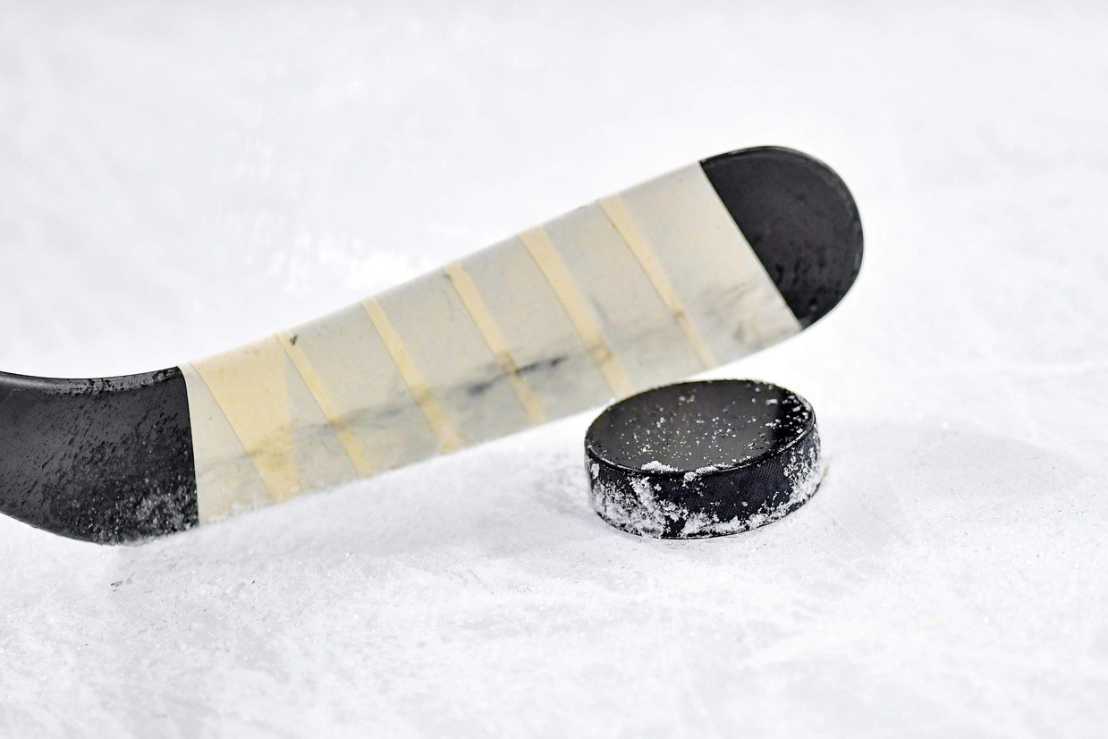 eishockey, eisb&auml;ren, &copy; Symbolbild, Pixabay