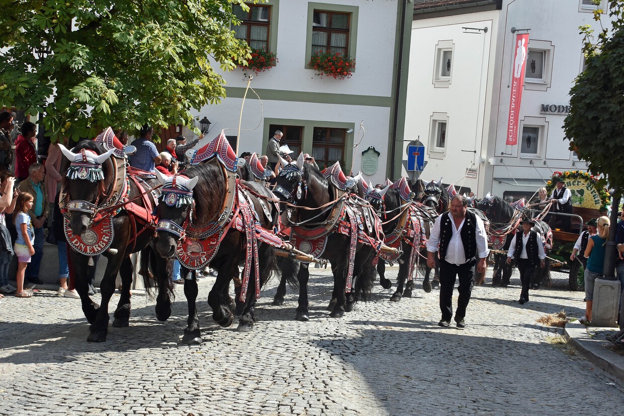 &copy; Sch&ouml;ne Pferde, sch&ouml;ne Wagen am Bad K&ouml;tztinger Rosstag